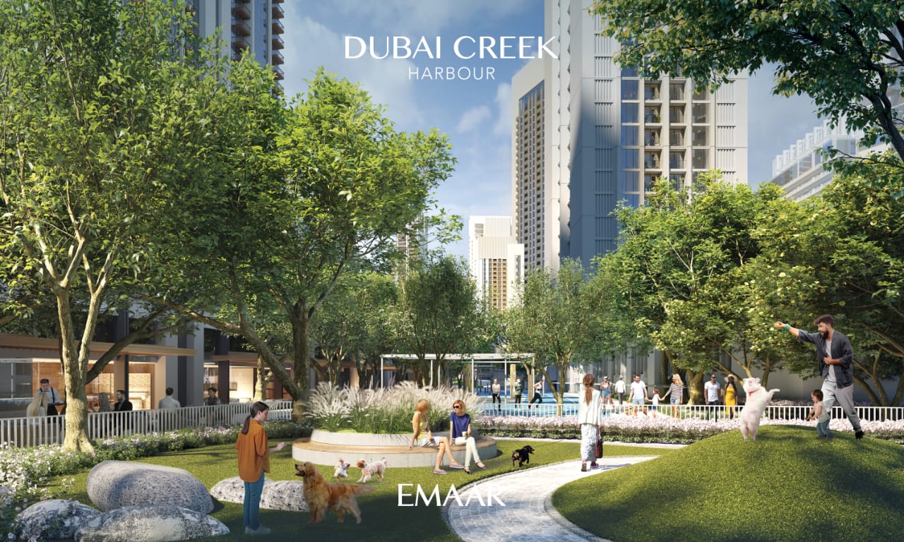 WhatsApp Image 2025-11-21 at 20.50.41